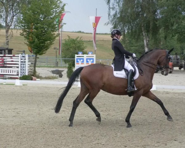 Reitturnier Kierspe-Hohenholten 2020
