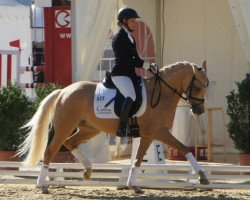 dressage horse Arts-Deimona (German Riding Pony, 2010, from Arts-Dancer-Boy)