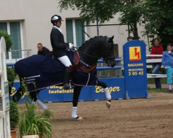 Dressurpferd Lutalo (Deutsches Sportpferd, 2010, von L'Ami)