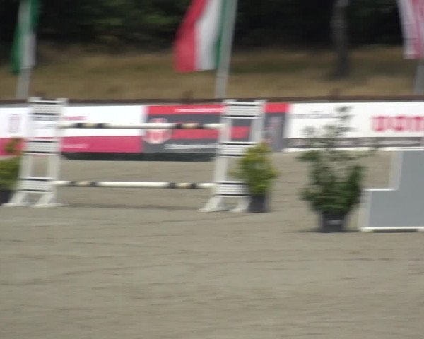 Reitturnier Westergellersen 2020