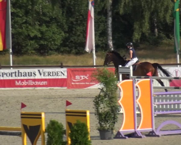 Reitturnier Westergellersen 2020