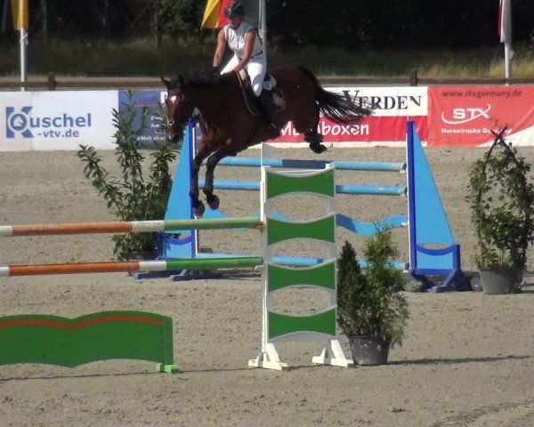 Reitturnier Westergellersen 2020