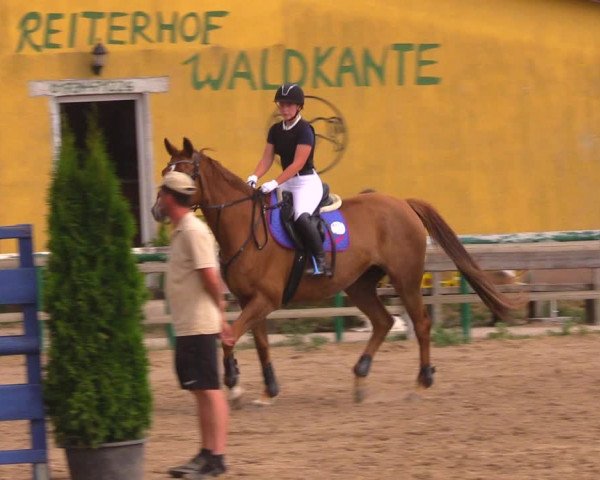 Reitturnier Altlandsberg 2020