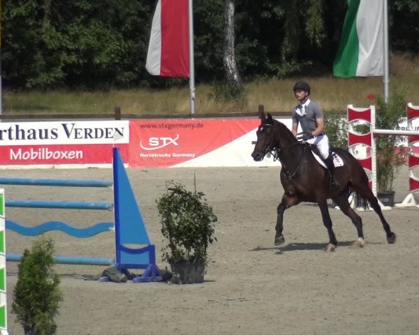 Reitturnier Westergellersen 2020