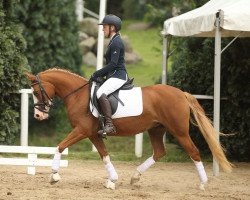 broodmare Painted Pearl von Holsteinsber (German Riding Pony, 2011, from Schierensees Have Good Time)
