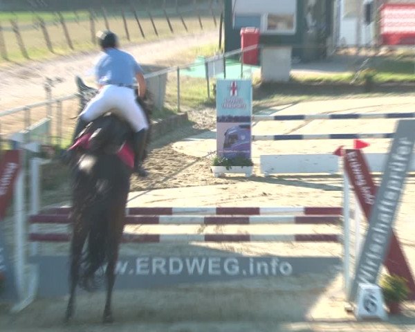 Reitturnier Kirchhoven-Vinn 2020