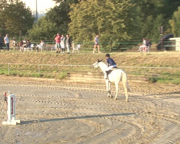 Reitturnier Kirchhoven-Vinn 2020