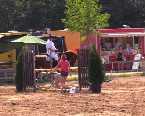 Reitturnier Altlandsberg 2020