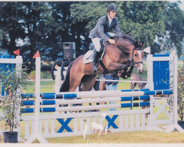 broodmare Ricarda (Oldenburg show jumper, 2003, from Balou du Rouet)