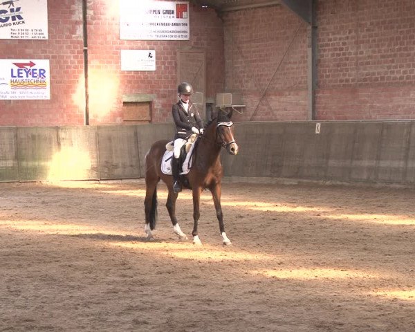 Reitturnier Kirchhoven-Vinn 2020