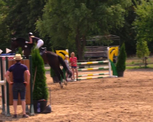 Reitturnier Altlandsberg 2020