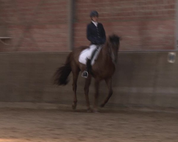 Reitturnier Kirchhoven-Vinn 2020