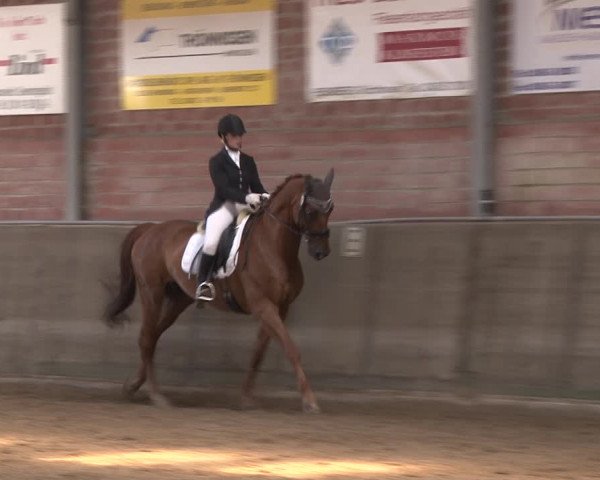 Reitturnier Kirchhoven-Vinn 2020