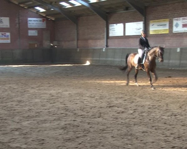 Reitturnier Kirchhoven-Vinn 2020