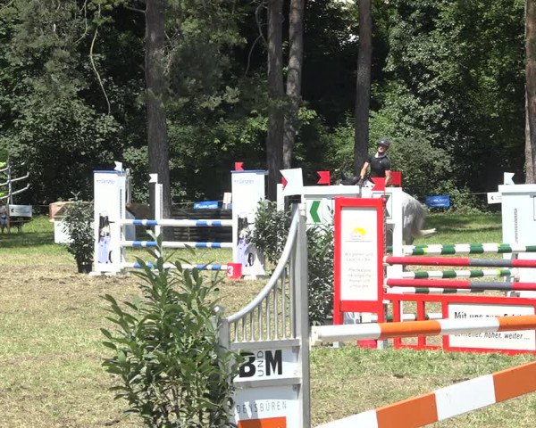 Reitturnier Sulgen 2020