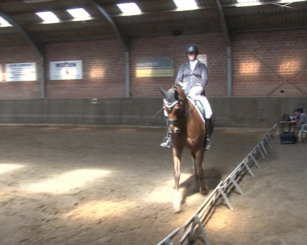 Reitturnier Kirchhoven-Vinn 2020