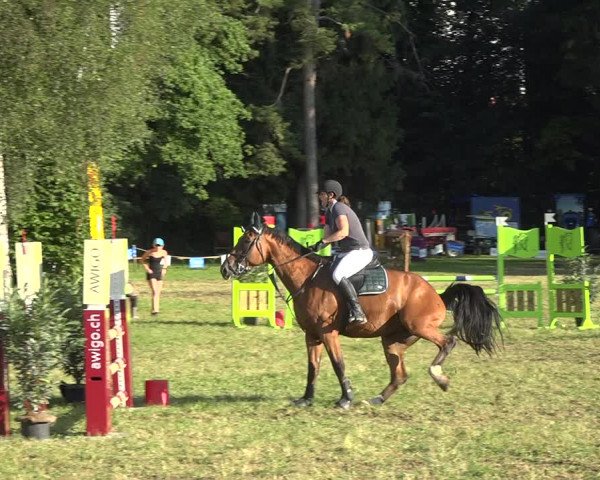 Reitturnier Sulgen 2020