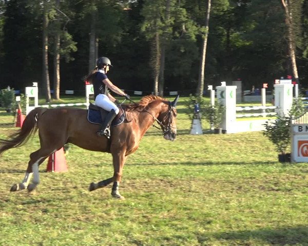 Reitturnier Sulgen 2020