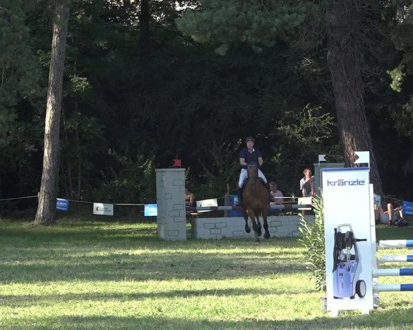 Reitturnier Sulgen 2020