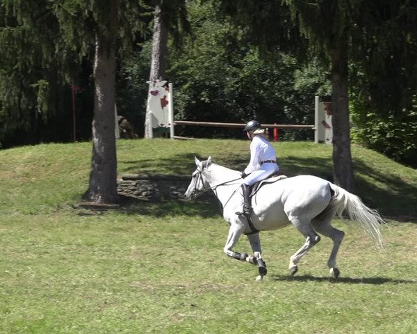 Reitturnier Sulgen 2020