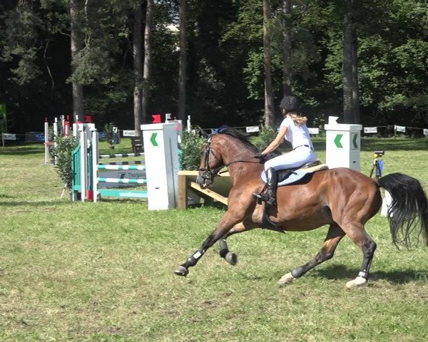Reitturnier Sulgen 2020