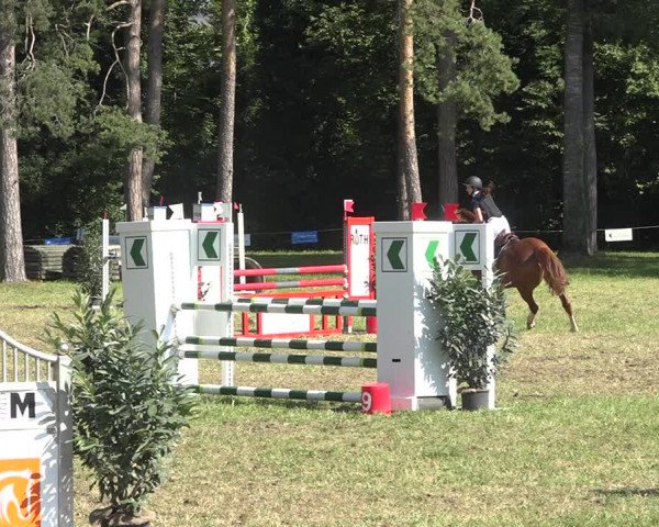 Reitturnier Sulgen 2020