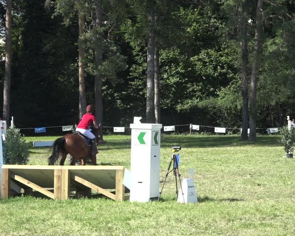 Reitturnier Sulgen 2020