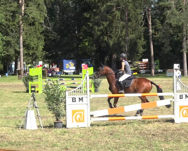 Reitturnier Sulgen 2020
