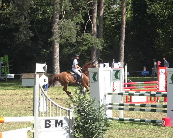 Reitturnier Sulgen 2020