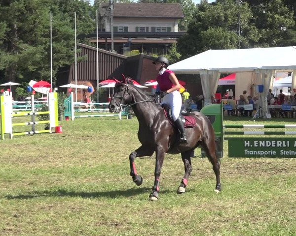 Reitturnier Sulgen 2020