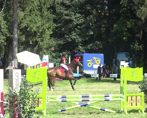 Reitturnier Sulgen 2020