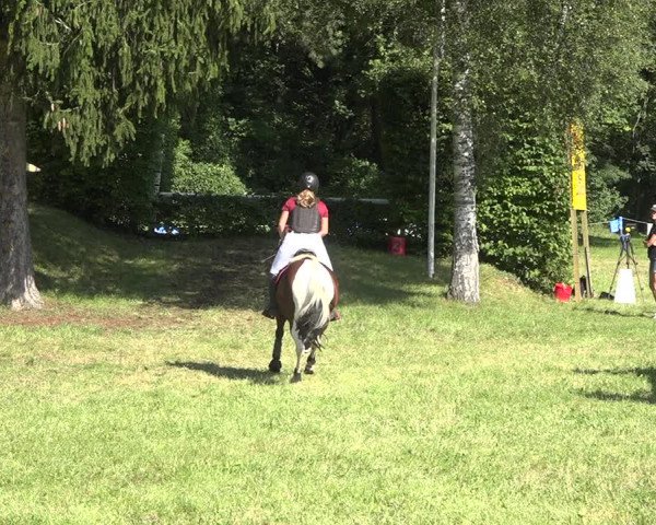 Reitturnier Sulgen 2020