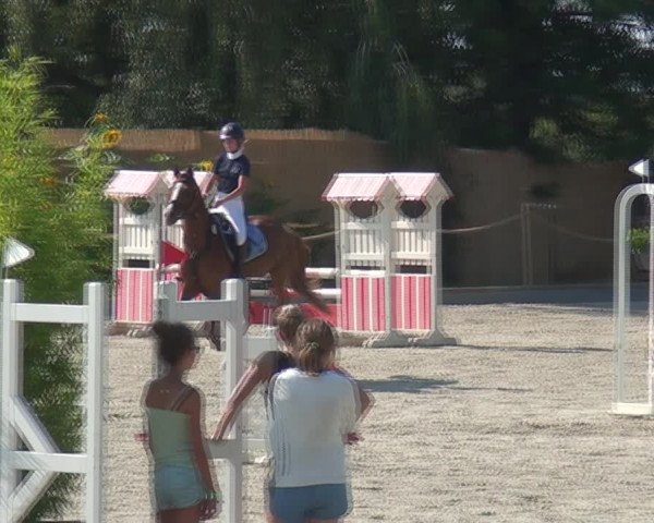 Reitturnier Monheim - Gut Blee 2020