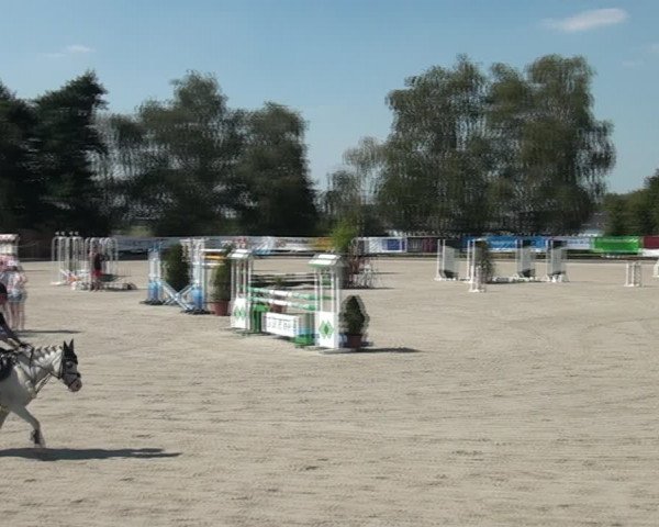 Reitturnier Monheim - Gut Blee 2020