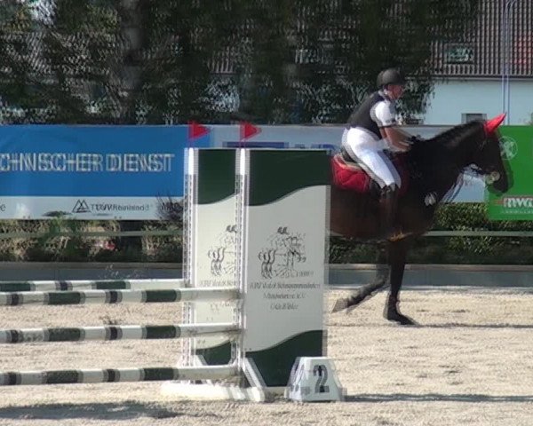 Reitturnier Monheim - Gut Blee 2020
