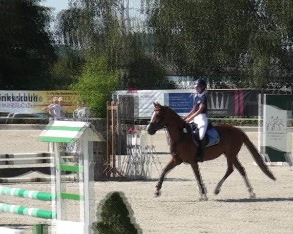 Reitturnier Monheim - Gut Blee 2020