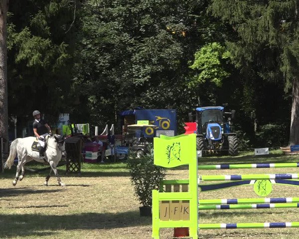 Reitturnier Sulgen 2020