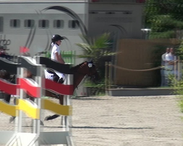 Reitturnier Monheim - Gut Blee 2020