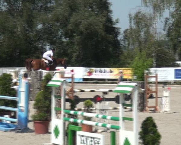 Reitturnier Monheim - Gut Blee 2020