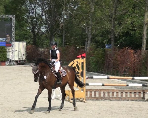 Reitturnier Monheim - Gut Blee 2020