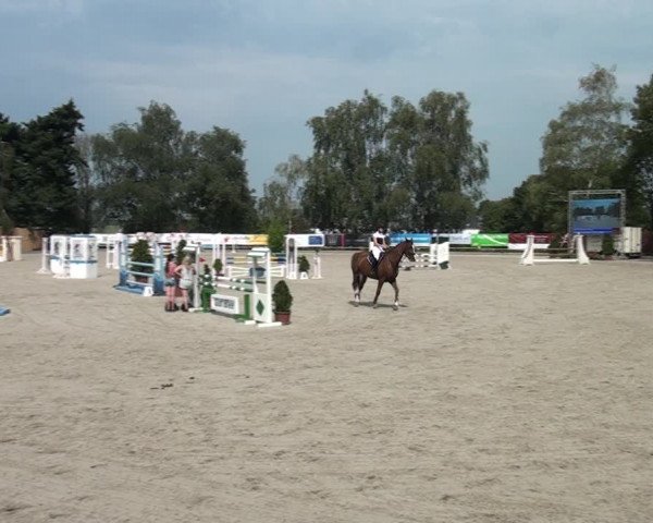 Reitturnier Monheim - Gut Blee 2020