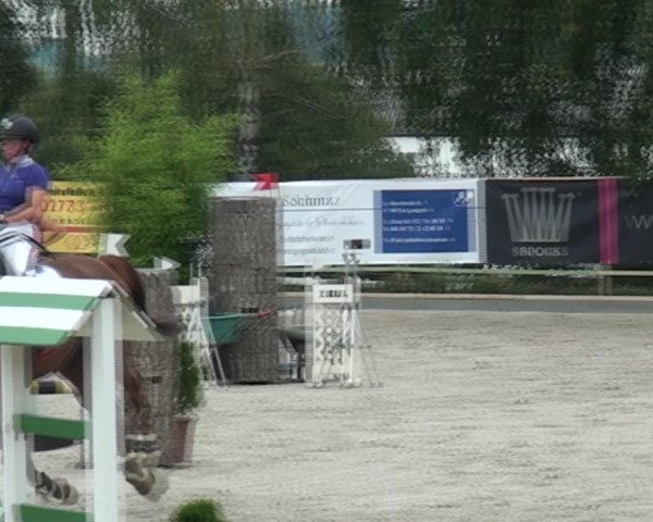Reitturnier Monheim - Gut Blee 2020
