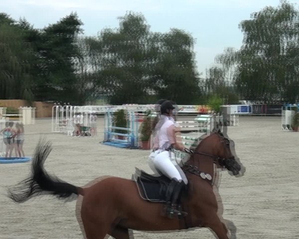 Reitturnier Monheim - Gut Blee 2020