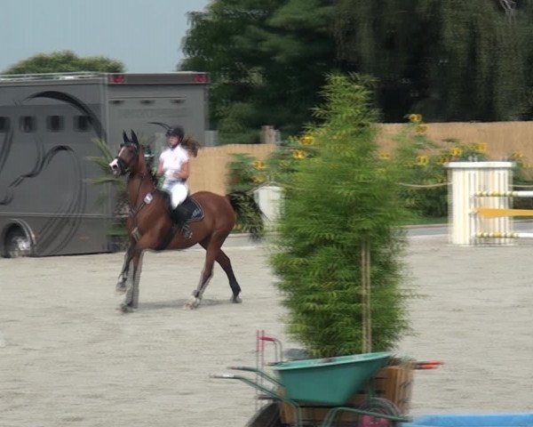Reitturnier Monheim - Gut Blee 2020