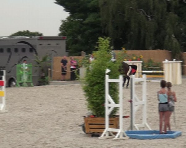 Reitturnier Monheim - Gut Blee 2020