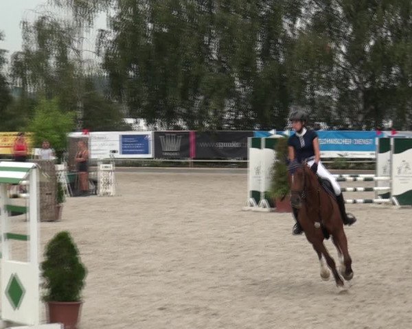 Reitturnier Monheim - Gut Blee 2020