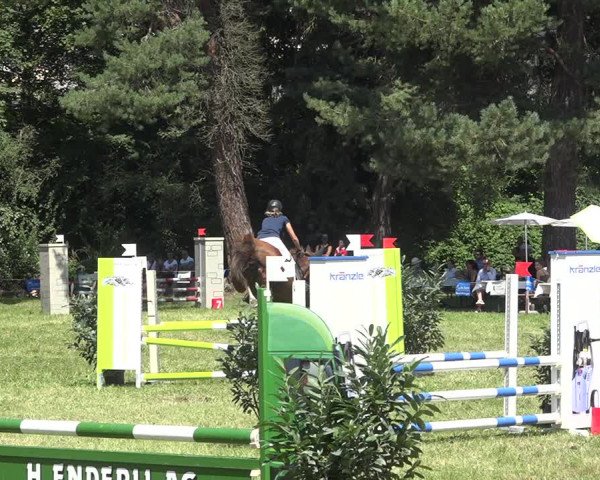 Reitturnier Sulgen 2020