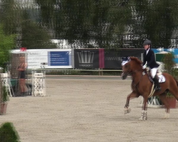 Reitturnier Monheim - Gut Blee 2020