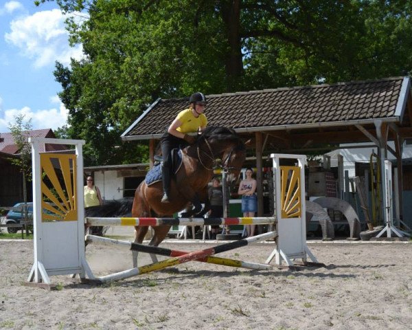 horse Mini-Zantonia (unknown, 2007)