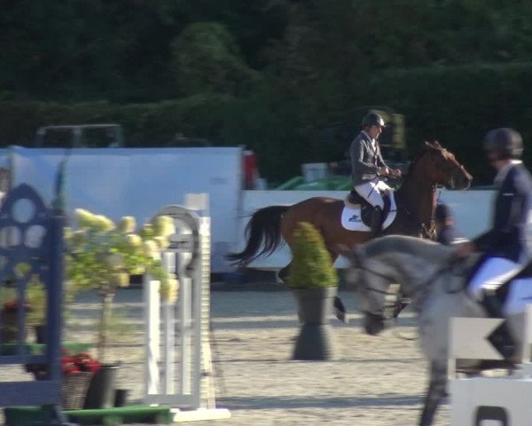 FEI Reitturnier Eschweiler (GER) 2020